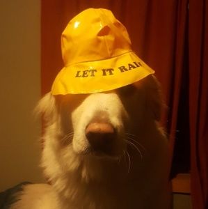 Meet your Posher, Larry